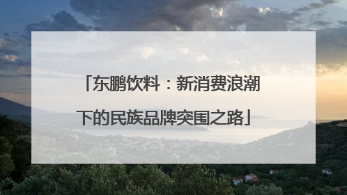东鹏饮料：新消费浪潮下的民族品牌突围之路