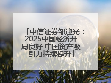 中信证券邹迎光：2025中国经济开局良好 中国资产吸引力持续提升