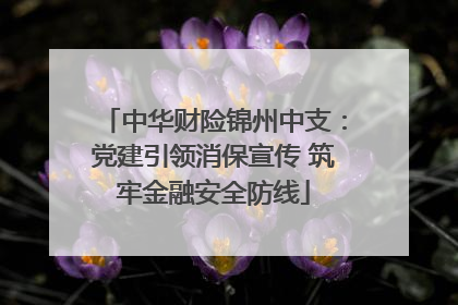 中华财险锦州中支：党建引领消保宣传 筑牢金融安全防线