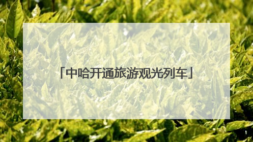 中哈开通旅游观光列车