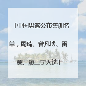 中国男篮公布集训名单，周琦、曾凡博、雷蒙、廖三宁入选