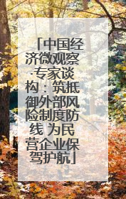 中国经济微观察·专家谈构：筑抵御外部风险制度防线 为民营企业保驾护航