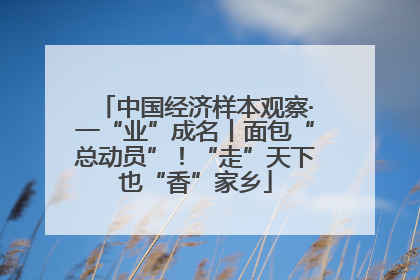 中国经济样本观察·一“业”成名丨面包“总动员”！“走”天下也“香”家乡