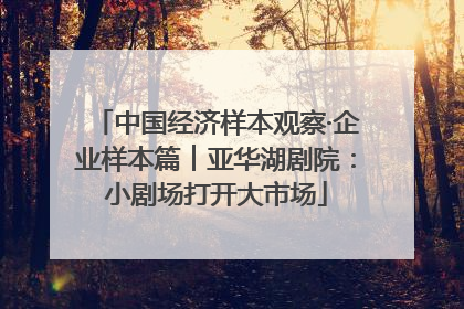 中国经济样本观察·企业样本篇︱亚华湖剧院：小剧场打开大市场