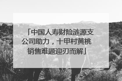 中国人寿财险涟源支公司助力，十甲村黄桃销售难题迎刃而解