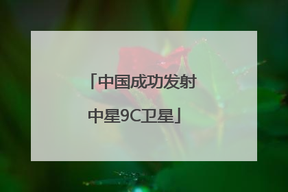 中国成功发射中星9C卫星