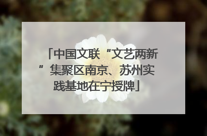 中国文联“文艺两新”集聚区南京、苏州实践基地在宁授牌
