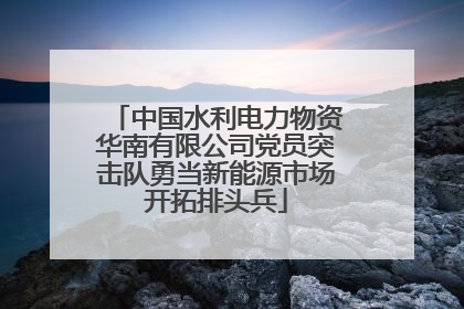 中国水利电力物资华南有限公司党员突击队勇当新能源市场开拓排头兵