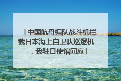 中国航母编队战斗机拦截日本海上自卫队巡逻机，我驻日使馆回应