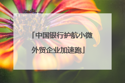中国银行护航小微外贸企业加速跑