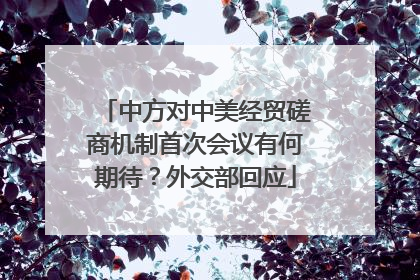 中方对中美经贸磋商机制首次会议有何期待？外交部回应