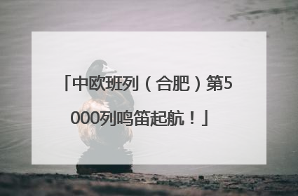 中欧班列（合肥）第5000列鸣笛起航！