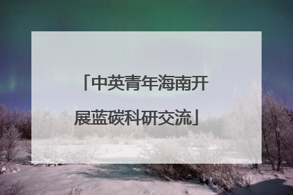 中英青年海南开展蓝碳科研交流