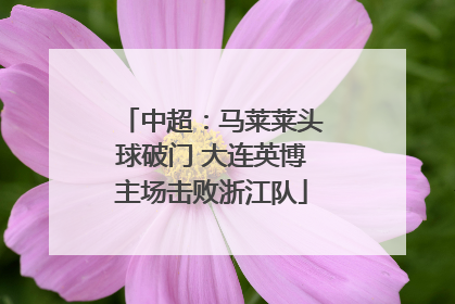 中超：马莱莱头球破门 大连英博主场击败浙江队