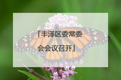 丰泽区委常委会会议召开