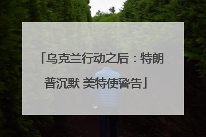 乌克兰行动之后：特朗普沉默 美特使警告