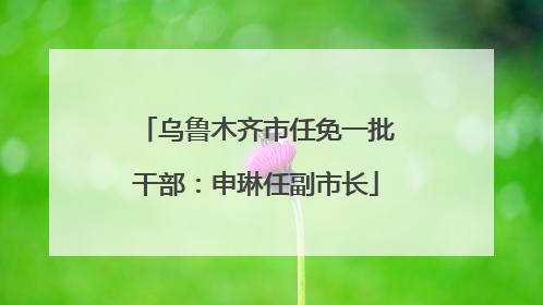 乌鲁木齐市任免一批干部：申琳任副市长