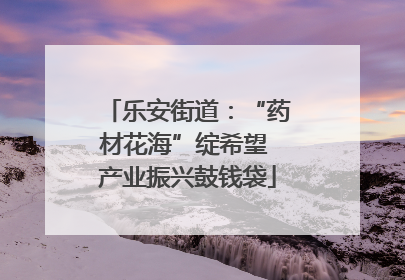 乐安街道：“药材花海”绽希望 产业振兴鼓钱袋