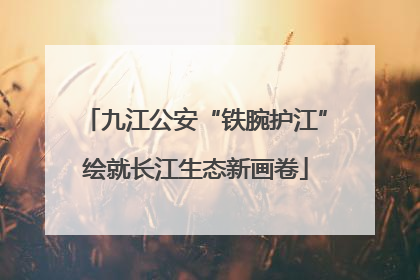 九江公安“铁腕护江”绘就长江生态新画卷