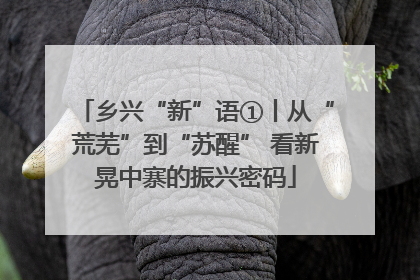 乡兴“新”语①丨从“荒芜”到“苏醒” 看新晃中寨的振兴密码
