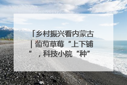 乡村振兴看内蒙古｜葡萄草莓“上下铺”，科技小院“种”出三倍效益