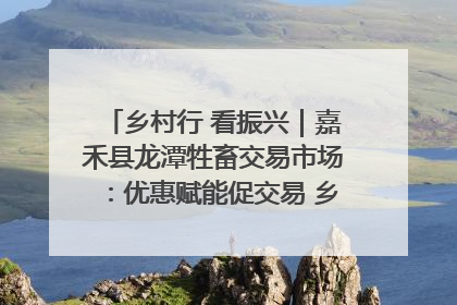 乡村行 看振兴｜嘉禾县龙潭牲畜交易市场：优惠赋能促交易 乡村振兴添动能
