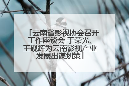 云南省影视协会召开工作座谈会 于荣光、王砚辉为云南影视产业发展出谋划策