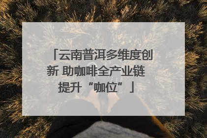 云南普洱多维度创新 助咖啡全产业链提升“咖位”
