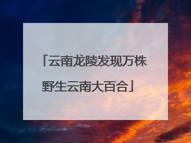 云南龙陵发现万株野生云南大百合