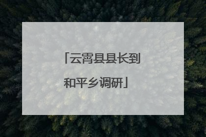 云霄县县长到和平乡调研