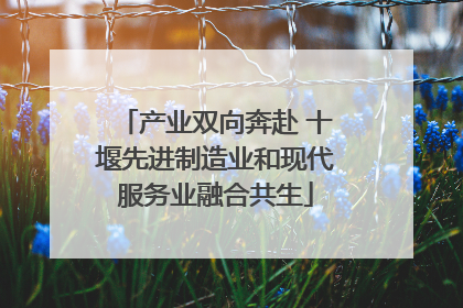 产业双向奔赴 十堰先进制造业和现代服务业融合共生