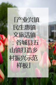 产业兴镇 民生惠镇 文旅活镇：谷城县五山镇打造乡村振兴示范样板