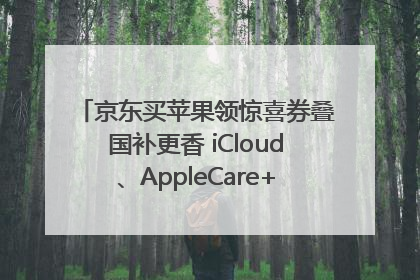 京东买苹果领惊喜券叠国补更香 iCloud、AppleCare+服务限时低至85折