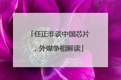 任正非谈中国芯片，外媒争相解读