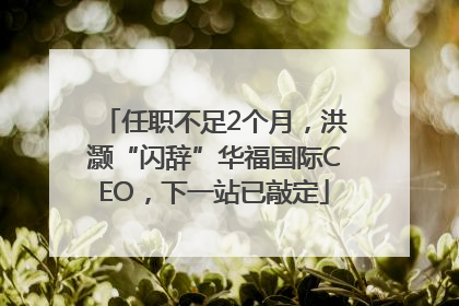任职不足2个月，洪灏“闪辞”华福国际CEO，下一站已敲定