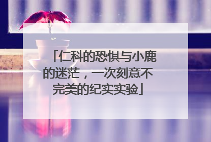 仁科的恐惧与小鹿的迷茫，一次刻意不完美的纪实实验