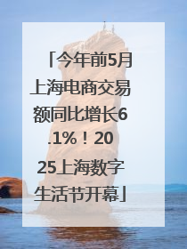 今年前5月上海电商交易额同比增长6.1%！2025上海数字生活节开幕