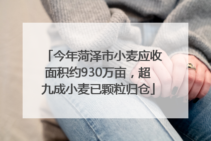 今年菏泽市小麦应收面积约930万亩，超九成小麦已颗粒归仓