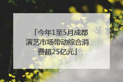 今年1至5月成都演艺市场带动综合消费超25亿元