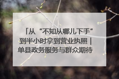 从“不知从哪儿下手”到半小时拿到营业执照｜单县政务服务与群众期待的“双向奔赴”