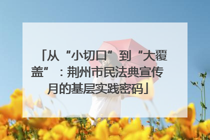 从“小切口”到“大覆盖”：荆州市民法典宣传月的基层实践密码
