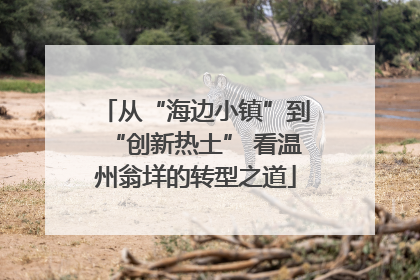 从“海边小镇”到“创新热土” 看温州翁垟的转型之道