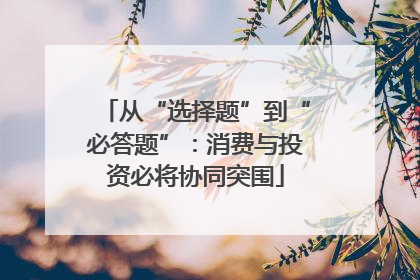 从“选择题”到“必答题”：消费与投资必将协同突围