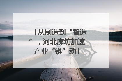 从制造到“智造”，河北廊坊加速产业“链”动