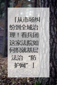 从市场纠纷到全域治理！看兵团这家法院如何织就基层法治 “防护网”