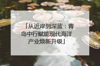 从近岸到深蓝：青岛中行赋能现代海洋产业焕新升级