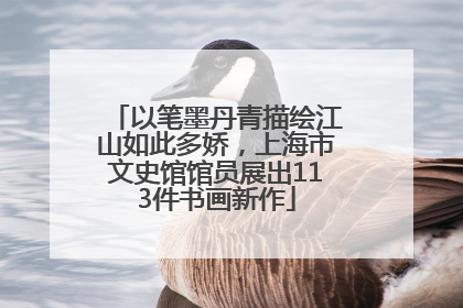 以笔墨丹青描绘江山如此多娇，上海市文史馆馆员展出113件书画新作