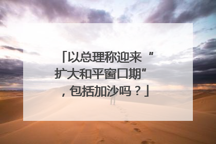 以总理称迎来“扩大和平窗口期”，包括加沙吗？