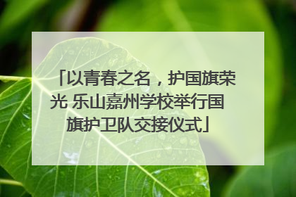 以青春之名，护国旗荣光 乐山嘉州学校举行国旗护卫队交接仪式