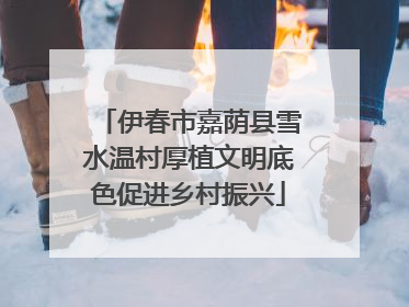 伊春市嘉荫县雪水温村厚植文明底色促进乡村振兴